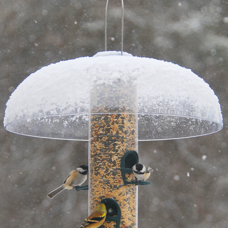 Bird feeder with a snow-covered top during a snowfall, with birds perched on it.