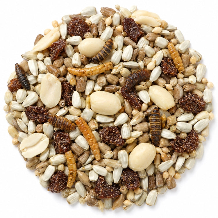 Brown's Nuts, Berries & Bugs Wild Bird Seed, 5-lb bag, featuring a mix of nuts, dried berries, mealworms, and black fly soldier larvae for attracting various birds.