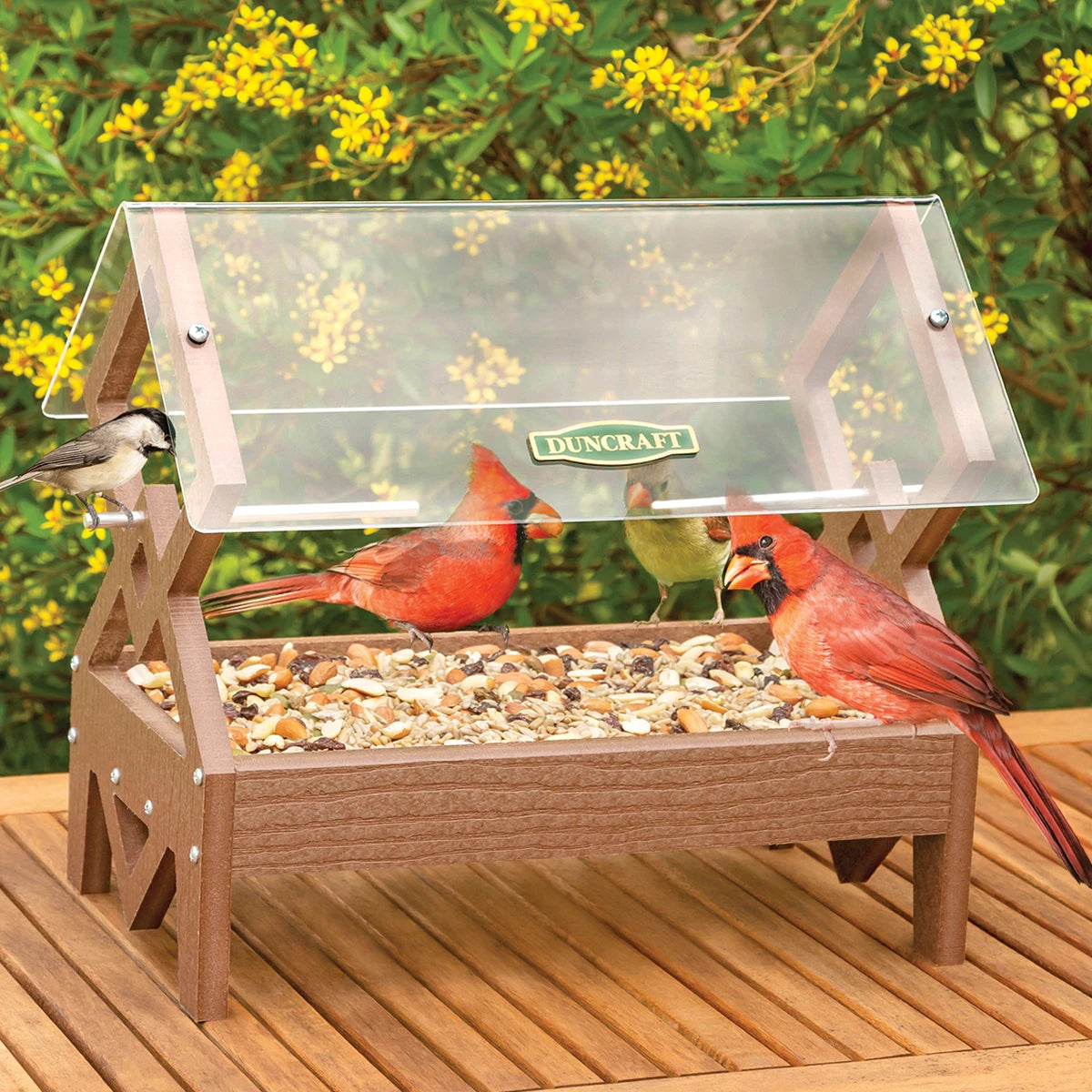 Duncraft Double Diamond Platform Feeder with mixed seeds, showcasing male and female Northern Cardinals and a chickadee feeding, set against foliage with blossoms.