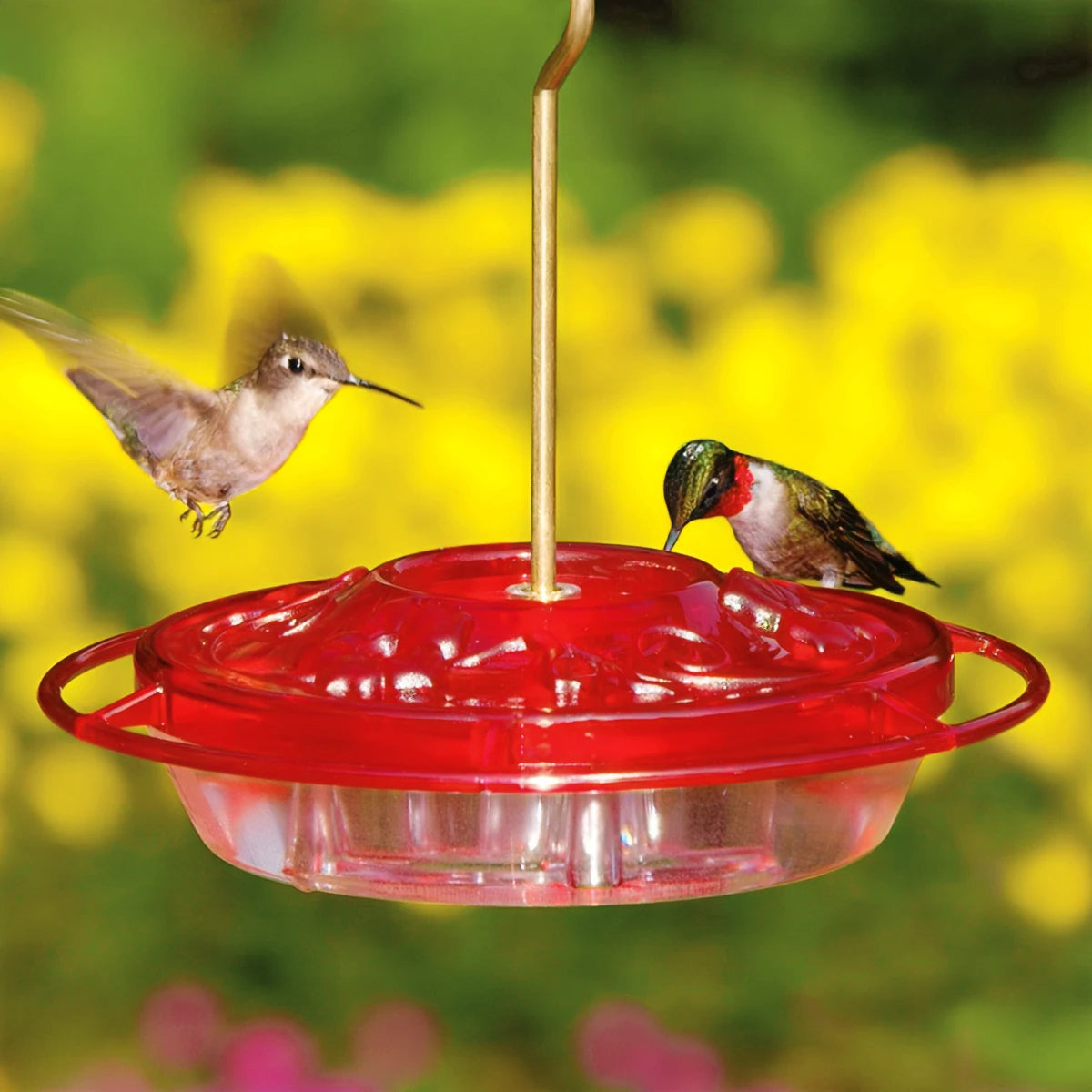 Aspects Little Fancy Hummingbird Feeder with two feeding hummingbirds, brass hook, three feeding stations, and clear dish for easy nectar monitoring.