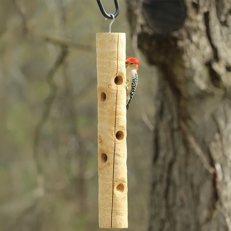 Red-bellied woodpecker clinging to a hanging cedar log suet feeder with multiple feeding holes.