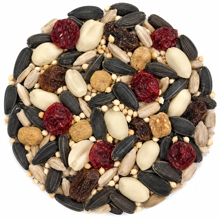 Duncraft Very Berry Blend Wild Bird Seed, 5-lb bag. A mix of nuts, seeds, and dried berries designed to attract fruit-eating birds and provide essential nutrients.