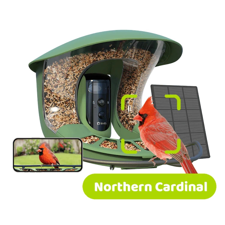 Birdfy Bird Feeder 2 Pro with Camera: Features solar power, dual seed hoppers, built-in camera, and smartphone connectivity. Northern Cardinal perched, showcasing live-view and species identification.