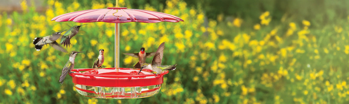 A hanging hummingbird feeder with a translucent red top canopy, a red rim, and a clear bowl, shown with several hummingbirds in a blurred green and yellow outdoor background.