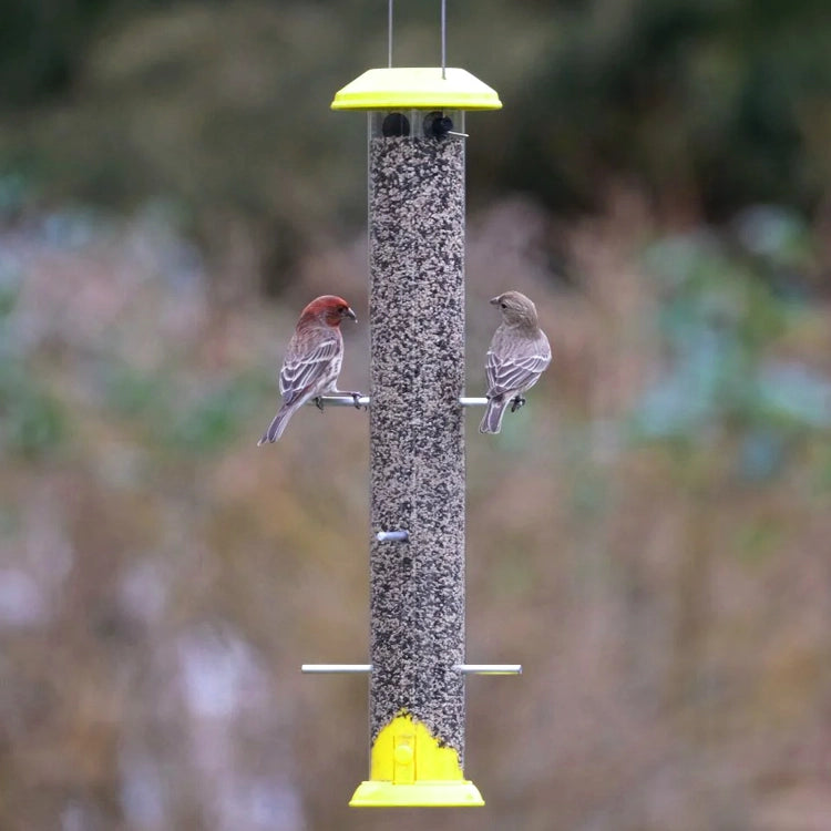 Nature's Way Bottoms Up Metal Thistle Finch Bird Feeder with two finches perched, showcasing dual direction feeding design and durable construction.