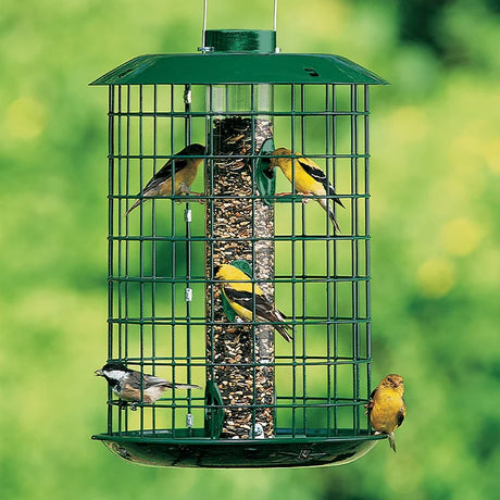 Metal bird feeder with mixed seeds, surrounded by small songbirds, including yellow finches and a chickadee, set against a blurred green garden backdrop.