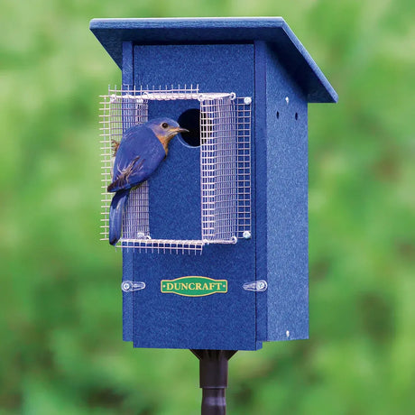 Shop Bluebird Houses