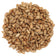 Close-up of hulled, dry-roasted sunflower seeds from the Retail Store Spicy Chips Wild Bird Seed, 20-lb bag, lightly seasoned and ideal for wild bird feeding.