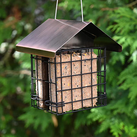 Regal Style Double Suet Cake Feeder, a metal cage with peaked roof, holds a suet block, suspended by a cord, offering dual-side feeding for birds.
