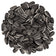 Striped Sunflower Wild Bird Seed, 5-lb bag; close-up of large, plump striped sunflower seeds, ideal for attracting cardinals and grosbeaks to feeders.