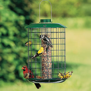 Duncraft Peanut & Sunflower Mesh Metal Selective: Green cage-style feeder with seed block, hosting goldfinches, a cardinal, and a woodpecker. Squirrel-proof design with fly-through openings.