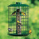 Duncraft Metal Selective bird feeder with green wire cage, filled with seeds, attracting goldfinches and chickadees. Features six feeding ports and squirrel-deterrent design.