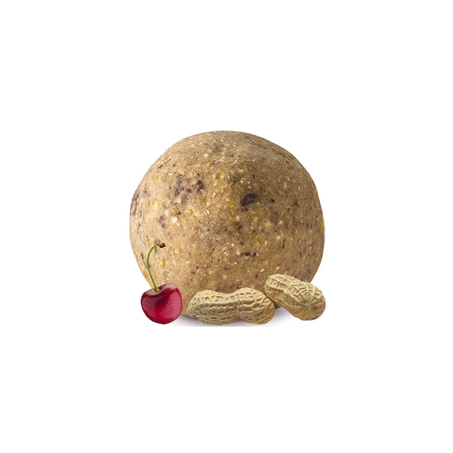 Fruit & Nut Suet Ball shown with peanuts and cherry, highlighting its berry and nut composition for attracting birds. Perfect for suet ball feeders.
