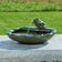 Ceramic Frog Solar Fountain with a frog spouting water into a scalloped bowl. Sits on a ledge, ideal for gardens, powered by solar energy.