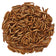 Close-up of live mealworms, 2000 count, ideal high-protein bird treat, 50% protein, 27% fat; attracts various birds, requires refrigeration.