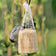 Attractor No Melt Peanut Butter Suet Bell, set of 3, hanging outdoors in a mesh bag with a small gray songbird feeding on the suet.