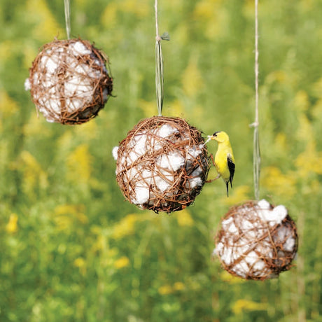 Grapevine Globes, Set of 3, with a goldfinch extracting cotton from woven twig spheres, ideal for providing nesting material for birds.