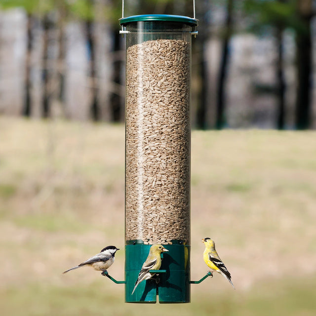 MAGNET® Squirrel-Resistant Bird Feeder with three songbirds perched; chickadee and two goldfinches. Features magnetic, weight-activated perches and adjustable sensitivity.