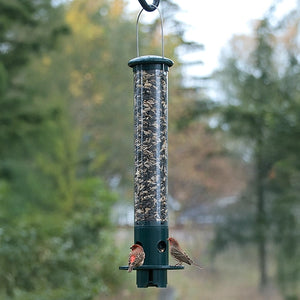 Mini Magnet Squirrel Resistant Bird Feeder