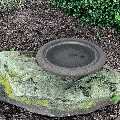 Dove gray birdbath bowl placed on a garden rock surrounded by greenery