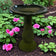Birds & Beyond Fiber Clay Bird Bath, Hunter Green, featuring a stone pedestal with a full-sized basin, placed in a lush garden setting.