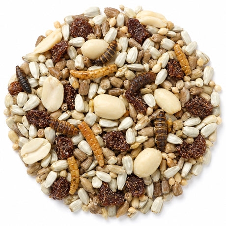 Brown's Nuts, Berries & Bugs Wild Bird Seed, 5-lb bag, featuring a mix of nuts, dried berries, mealworms, and black fly soldier larvae for attracting various birds.