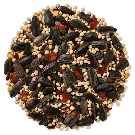 Brown's No Squirrels…Just Birds!™ sunflower seed blend in a 5-lb bag, featuring a mix of black oil sunflower seeds and white proso millet.