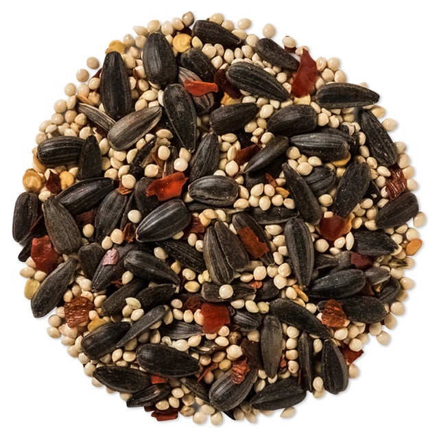 Brown's No Squirrels…Just Birds!™ sunflower seed blend in a 5-lb bag, featuring a mix of black oil sunflower seeds and white proso millet.