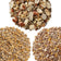 Close-up of Duncraft Garden Friendly Wild Bird Seed Sampler, Set of 3, showcasing a blend of seeds designed to attract songbirds without leaving waste.