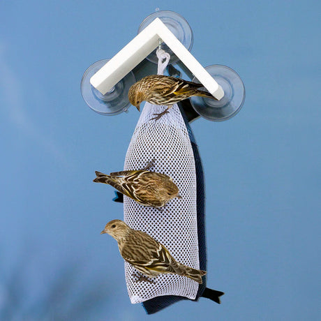 Duncraft Window Nyjer® Stocking Bird Feeder attached with suction cups, features three finches feeding on seeds from a mesh pouch beneath a recycled plastic roof.