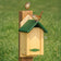 Two birds perched on a wooden birdhouse with a green roof against a grassy background.