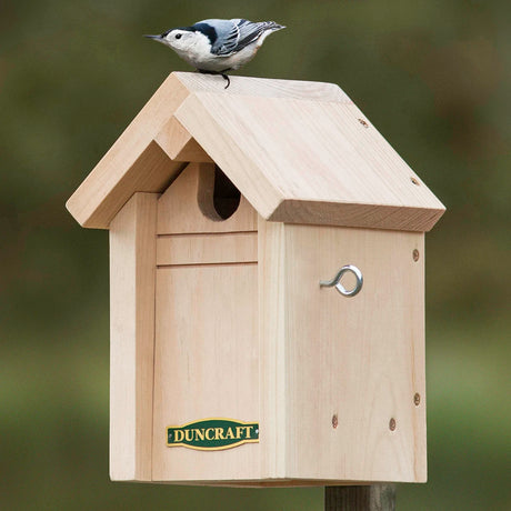 duncraft.mommon Bird Pine Nesting House with a bird perched on its roof, featuring an overhanging roof, recessed entrance, and side hook for easy cleaning.