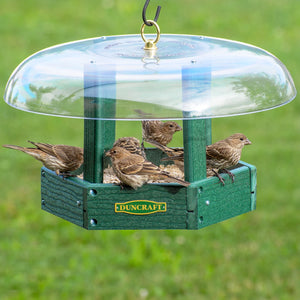 Duncraft Hexagon Gazebo with Clear Roof features a platform feeder and dome baffle. Six finches feed, showcasing its ability to attract multiple birds.