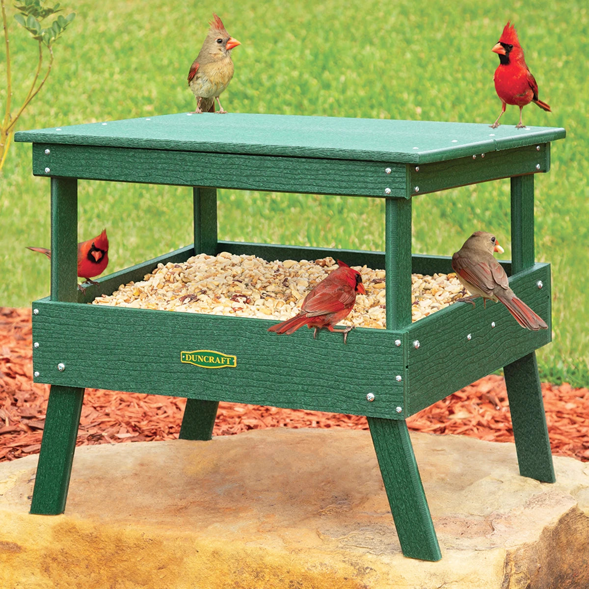 Duncraft Protected Ground Platform Feeder with cardinals feeding. Features a wide platform, angled roof, and metal mesh flooring for drainage.