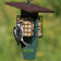 Duncraft Sheltered Three Woodpecker Suet Feeder with tail prop area, supports a male Downy Woodpecker feeding on suet cakes, featuring a protective oversized roof.