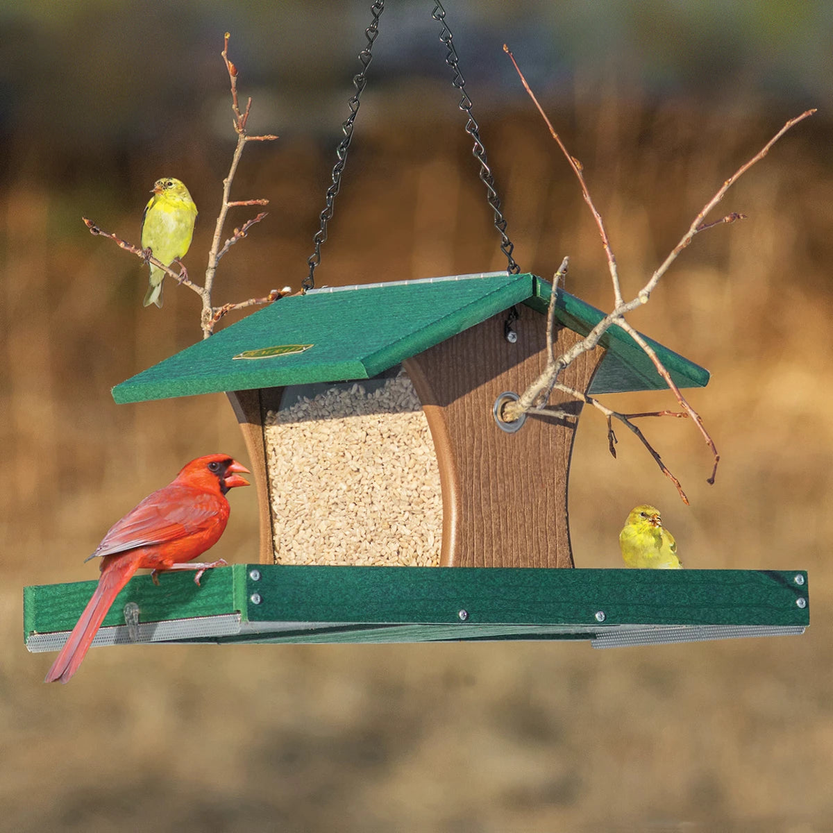 Duncraft Cardinal Landing Tray Feeder with green roof, brown sides; features two trays with a male Northern Cardinal and two American Goldfinches perched.