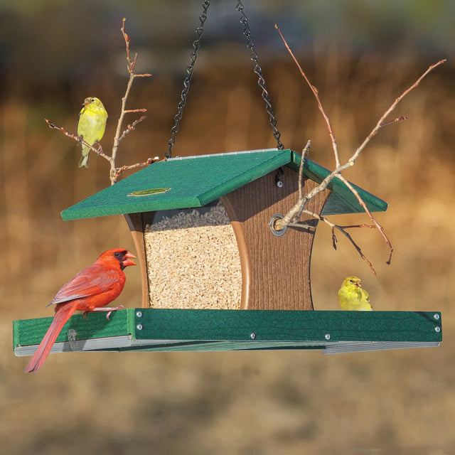 Duncraft Cardinal Landing Tray Feeder with green roof, brown sides; features two trays with a male Northern Cardinal and two American Goldfinches perched.