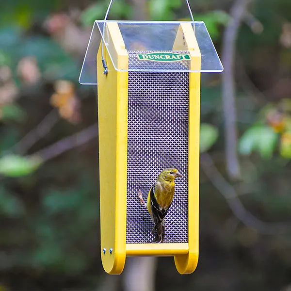 Duncraft Fancy Finch Nyjer® Feeder with mesh sides and clear roof, hosting a finch. Designed for easy feeding from both sides.