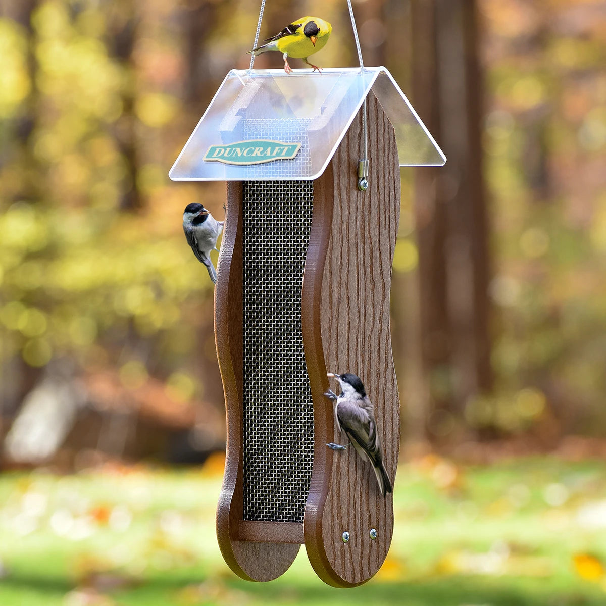 Duncraft Wave Mesh Nyjer® Feeder with two chickadees and a goldfinch, featuring mesh sides, a clear roof, and room for more birds.