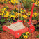 Duncraft Red Wagon Hanging Platform Feeder with two Northern Cardinals feeding, features durable red recycled plastic, metal chains, and stationary wheels, ideal for birdwatching.