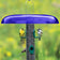 Duncraft Blue Slot Baffle atop a clear tube feeder with goldfinch and chickadee perched, keeping seeds dry beneath its broad, cobalt-blue rain guard.