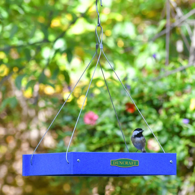 Duncraft Classic Bird Safe Platform Feeder, Royal Blue, features a square platform with a chickadee perched on it, suspended by metal wires.