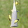 Ready To Use Nyjer® Sack featuring multiple birds perched on it, including close-ups of yellow birds and a bird with a worm in its beak.