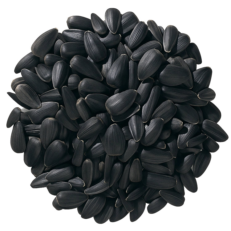 Duncraft Black Oil Sunflower Wild Bird Seed, 5-lb bag, features a pile of black sunflower seeds, ideal for small birds with its thin shell and high energy.