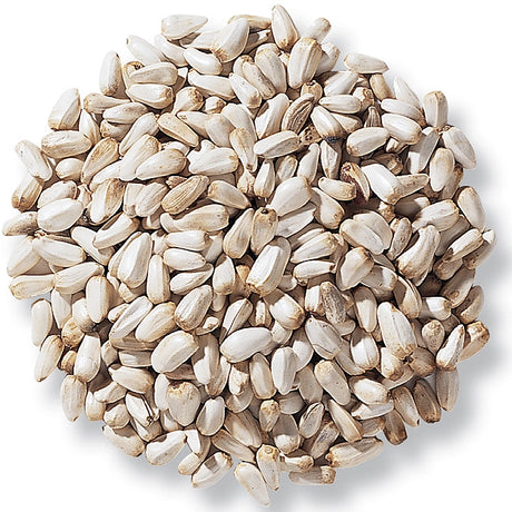 Duncraft Safflower Wild Bird Seed, 5-lb bag, featuring a pile of white seeds known for attracting birds while deterring squirrels.
