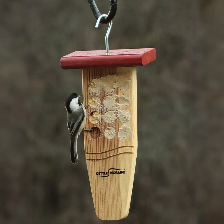 Chickadee enjoying bark butter from a hanging cedar feeder designed for clinging birds.