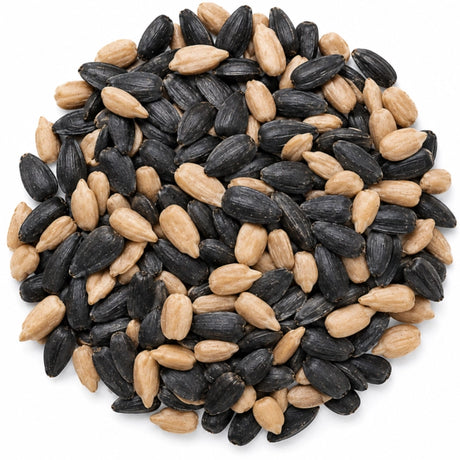Mixture of black sunflower seeds and whole sunflower hearts on a white background