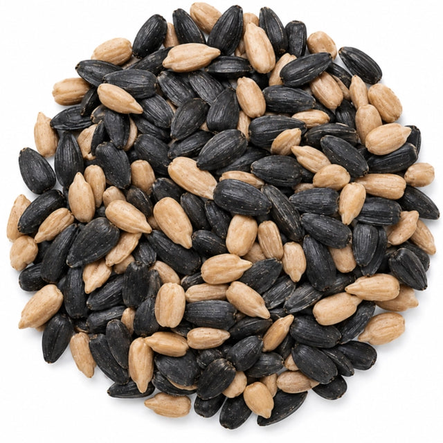 Mixture of black sunflower seeds and whole sunflower hearts on a white background