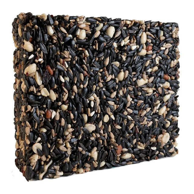 Four Seasons Seed Cake, Large: A compressed block of bird-feed seeds including sunflower, peanuts, and safflower, ideal for year-round feeding of various wild birds.