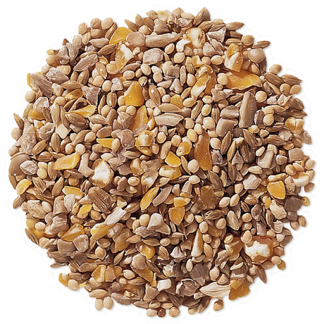 Duncraft Four Seasons No-Waste Wild Bird Seed, 5-lb bag, close-up of seeds, including sunflower hearts, white millet, and cracked corn, perfect for year-round bird feeding.